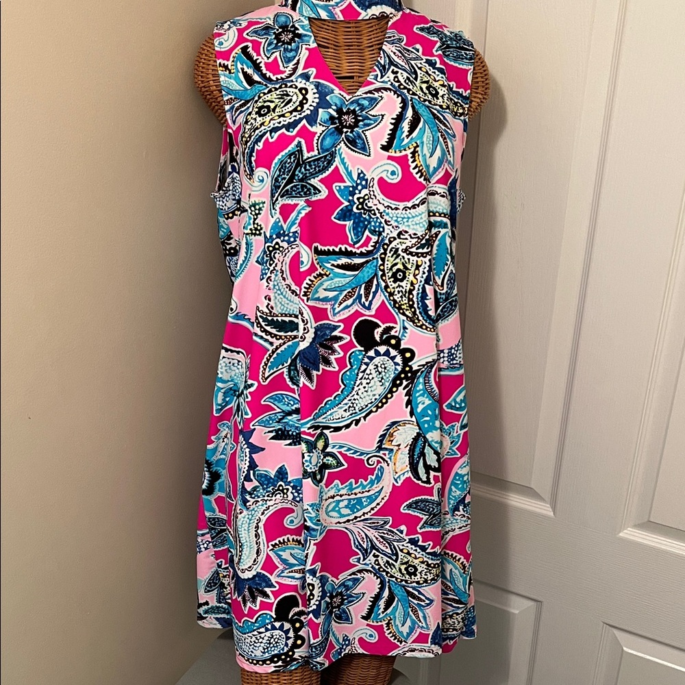 Aryeh Pink and Blue Paisley Dress